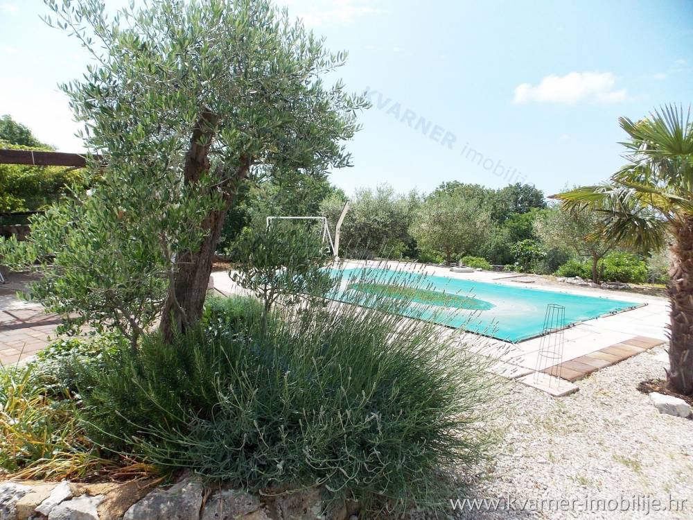 EKSKLUZIVNO!! Kamnita vila na mirni lokaciji z bazenom in prekrasnim oljčnim nasadom v velikosti 3000 m²!!