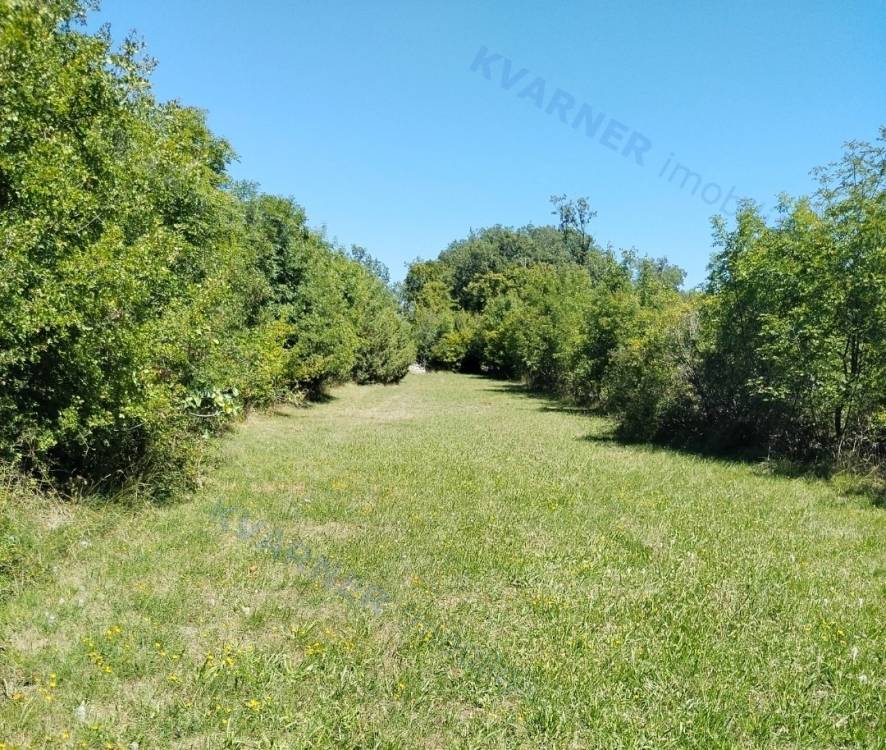 Agricultural land for sale - vicinity of Dobrinj!