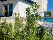 Luksuzni apartma z vrtom in bazenom na odlični lokaciji v mestu Krk. Le 350 m od plaže!