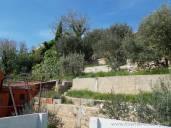 House with sea view and olive grove garden on 20 meters from the beach!!